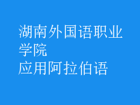 應(yīng)用阿拉伯語