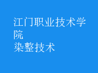 染整技術(shù)