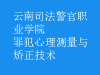 罪犯心理測(cè)量與矯正技術(shù)