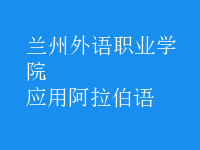 應(yīng)用阿拉伯語