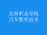 汽車(chē)整形技術(shù)