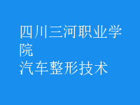 汽車(chē)整形技術(shù)
