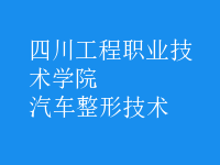 汽車(chē)整形技術(shù)