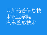 汽車(chē)整形技術(shù)