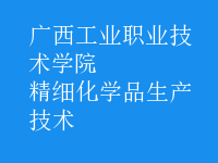 精細化學品生產(chǎn)技術(shù)