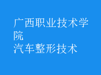 汽車(chē)整形技術(shù)