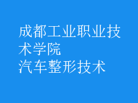 汽車(chē)整形技術(shù)