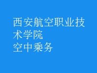 空中乘務(wù)