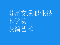 表演藝術(shù)