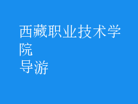 導(dǎo)游