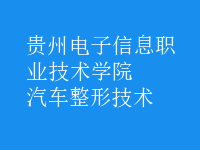 汽車(chē)整形技術(shù)
