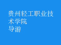 導(dǎo)游