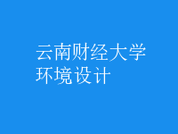 環(huán)境設計