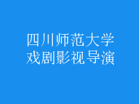 戲劇影視導(dǎo)演