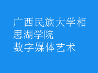 數(shù)字媒體藝術