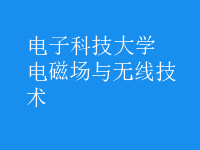 電磁場與無線技術(shù)