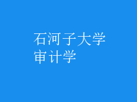 審計(jì)學(xué)