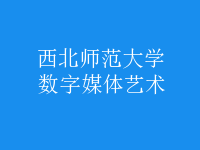 數(shù)字媒體藝術(shù)