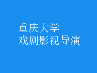 戲劇影視導(dǎo)演