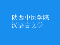 漢語(yǔ)言文學(xué)