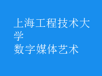 數(shù)字媒體藝術(shù)