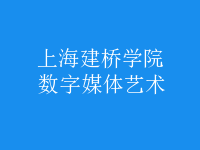 數(shù)字媒體藝術(shù)