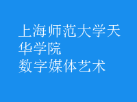 數(shù)字媒體藝術(shù)