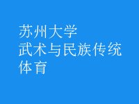 武術與民族傳統(tǒng)體育