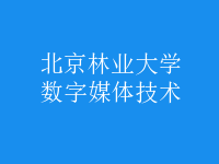 數(shù)字媒體技術(shù)