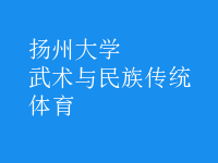 武術與民族傳統(tǒng)體育