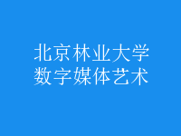 數(shù)字媒體藝術(shù)